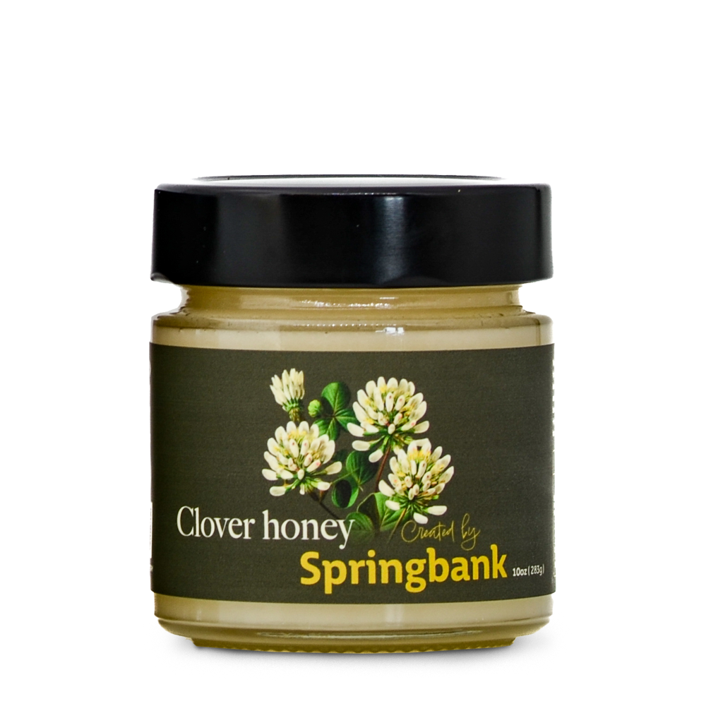 Clover Honey - Image 3