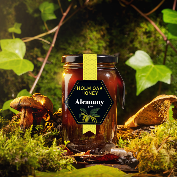 Alemany Holm Oak Honey - Image 2